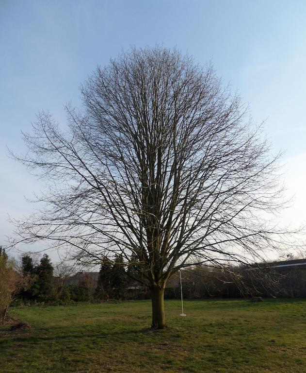 וורסנר Villa Bijenhof חדר תמונה